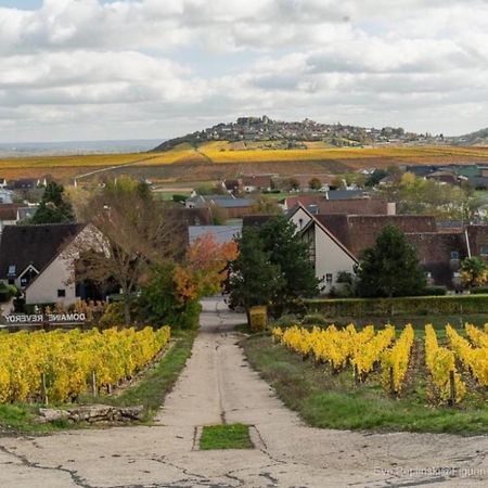 Vila L'Annexe Verdigny Exteriér fotografie