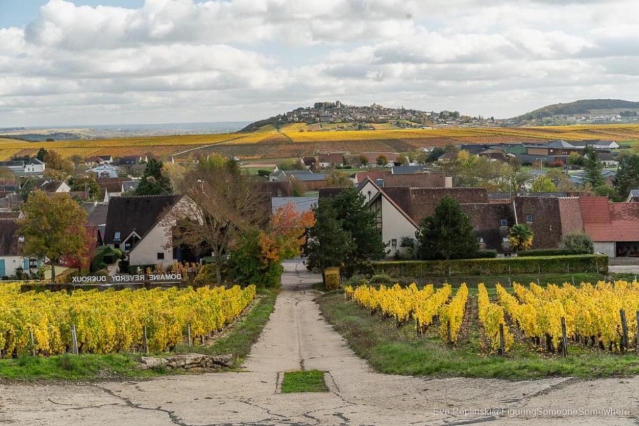 Vila L'Annexe Verdigny Exteriér fotografie