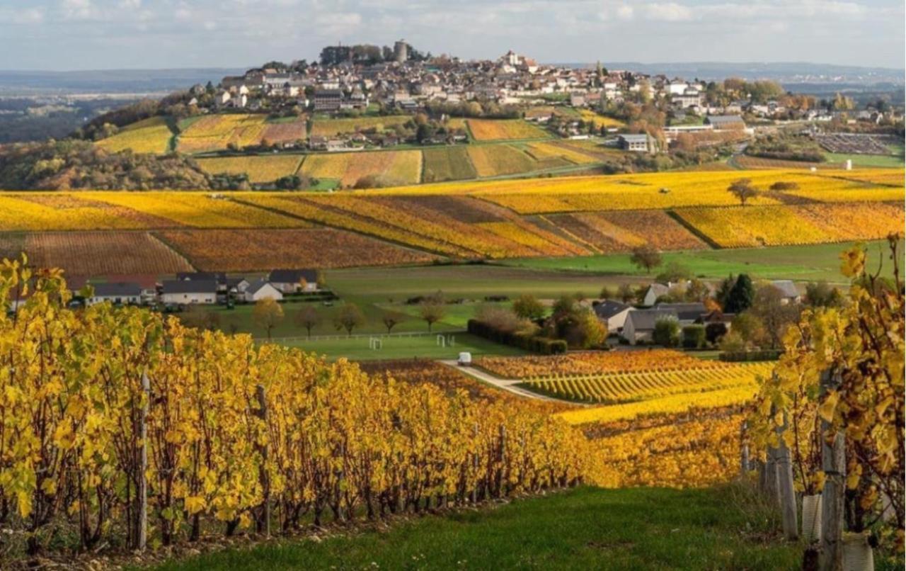Vila L'Annexe Verdigny Exteriér fotografie